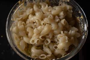 elbow macaroni in the bowl